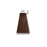 Keune Tinta MEDIUM GOLDEN BROWN 4.3 with Keune Developer 20 Volume - 60 ml